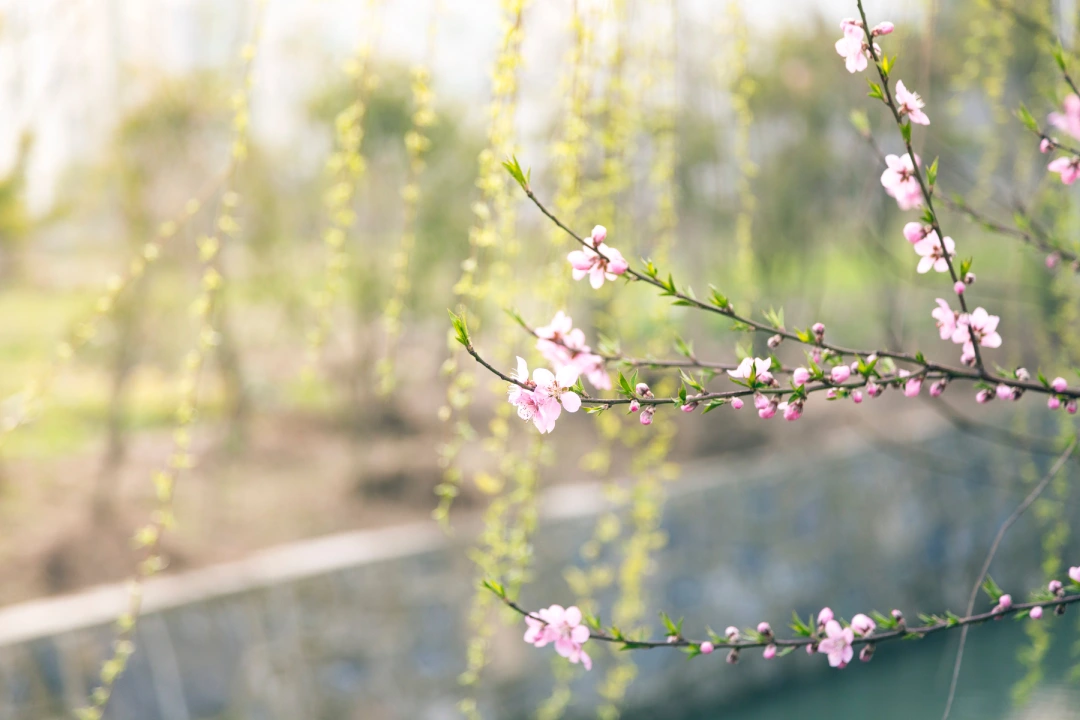 preparer sa peau pour le printemps