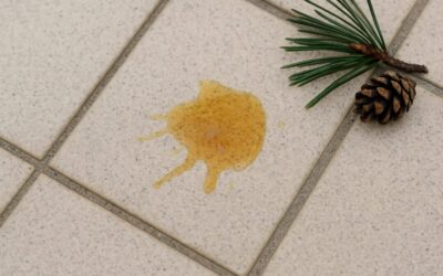Comment enlever une tache de résine de pin sur un carrelage d’extérieur